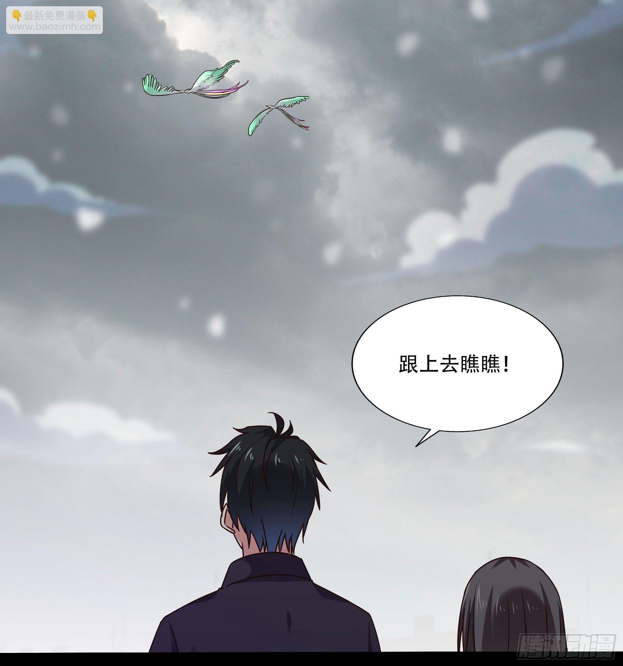 第294话 驾驭神传