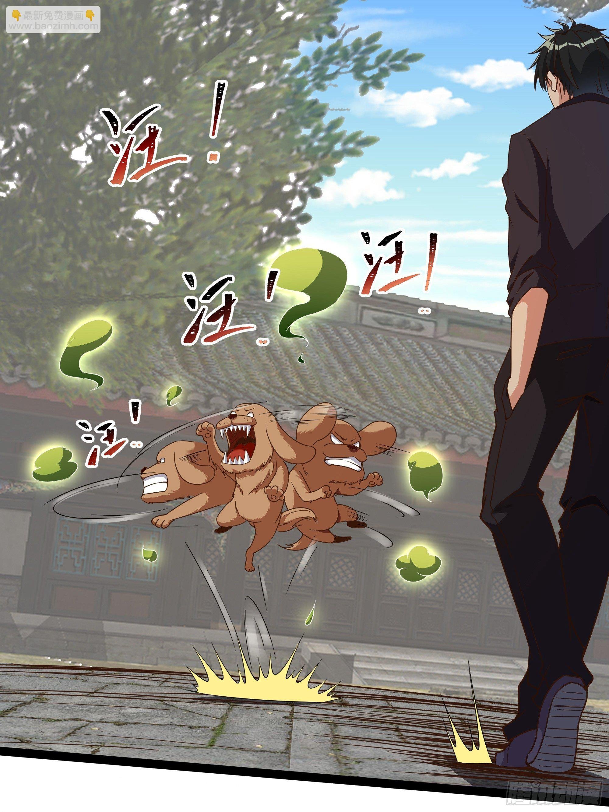 第311话 道丹极境