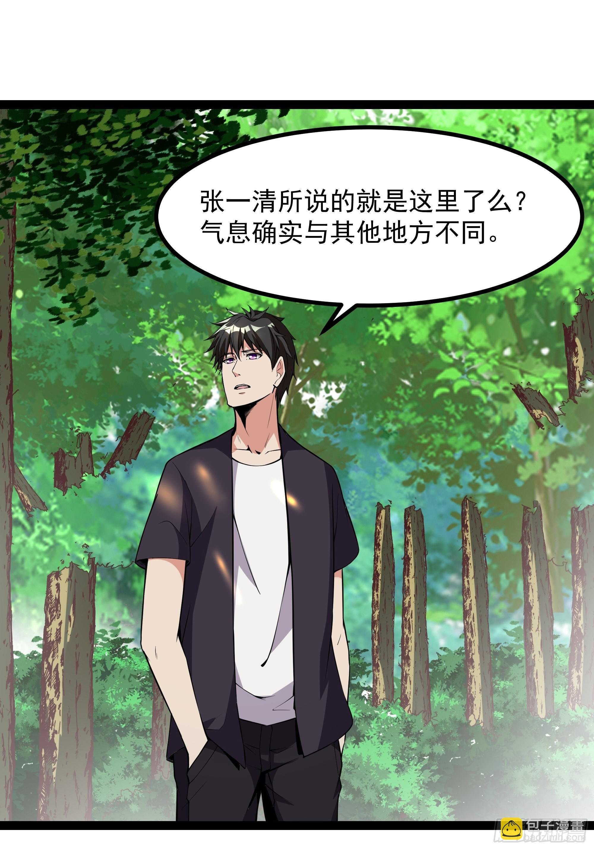 第321话 白灵秘境