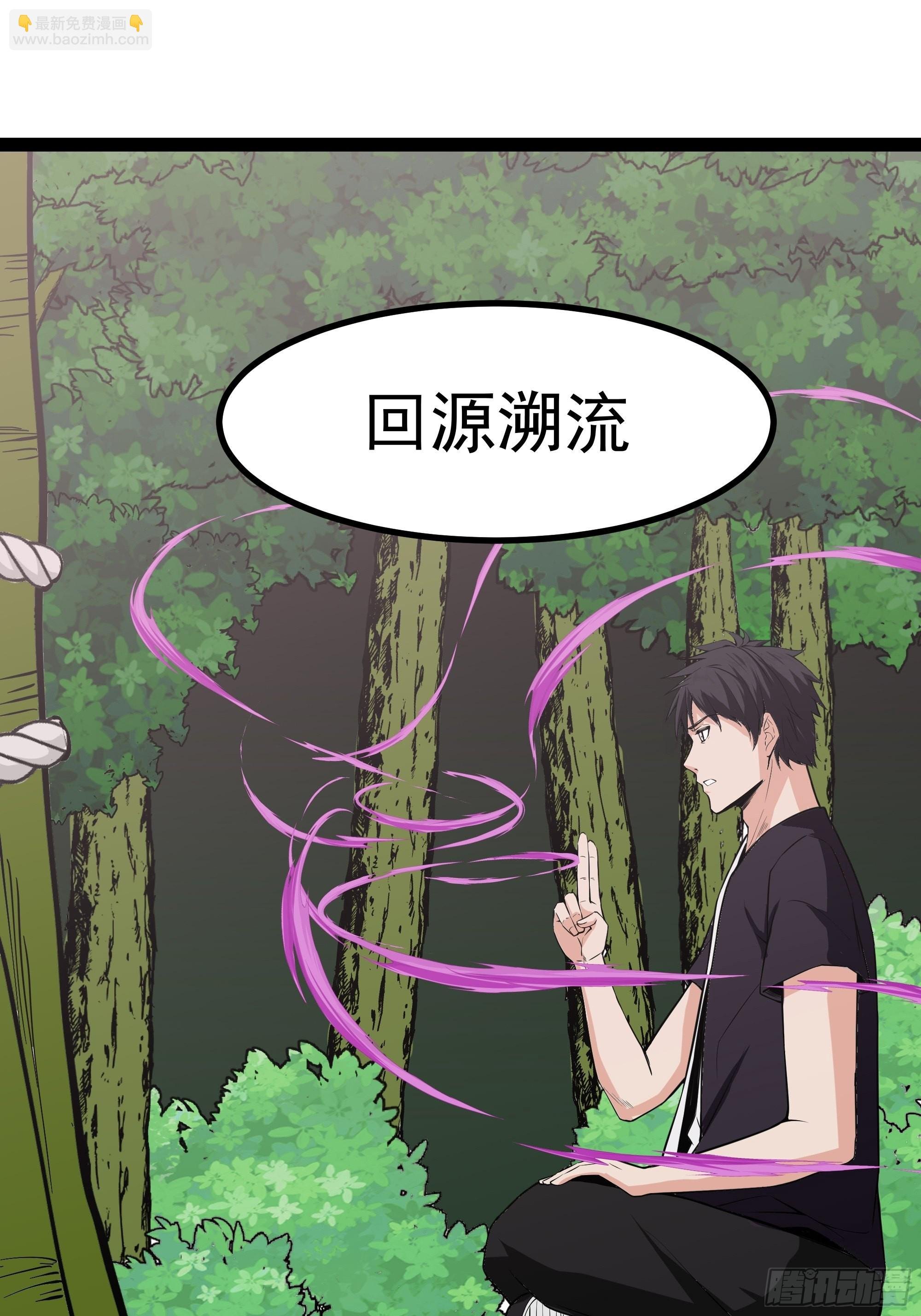 第321话 白灵秘境