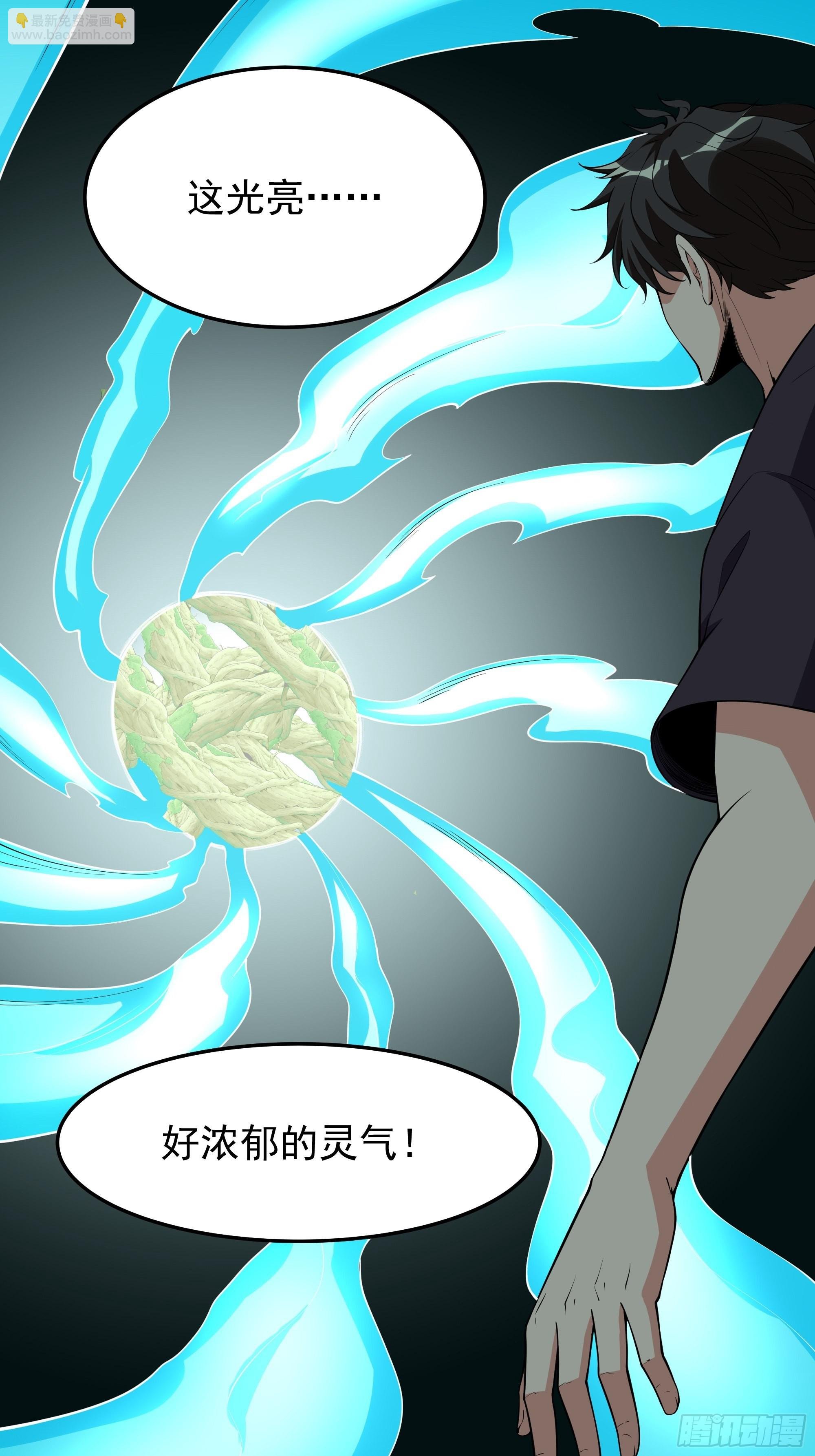 第334话 灵脉本源