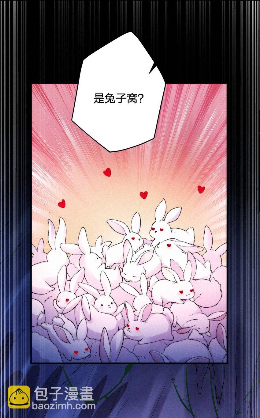 018 兔窝