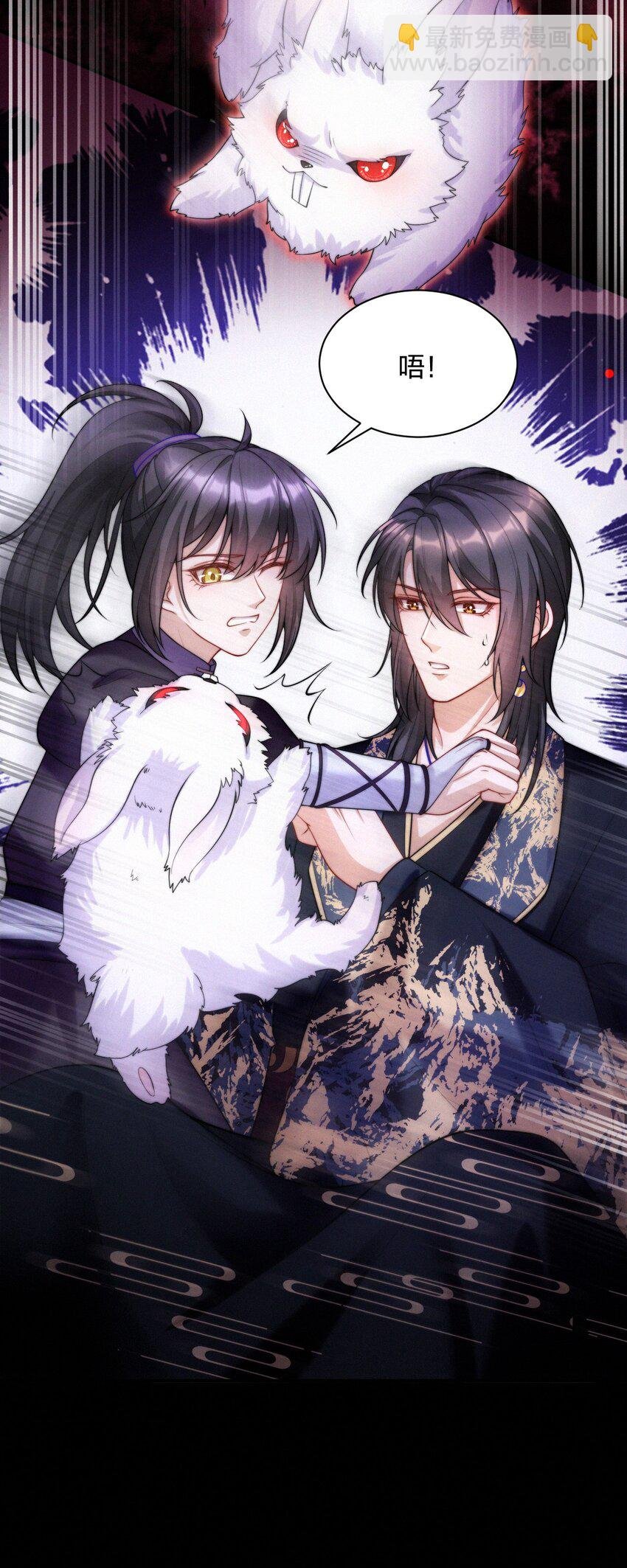 018 兔窝