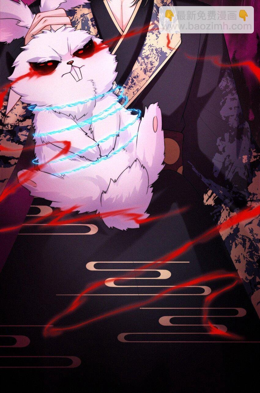 018 兔窝