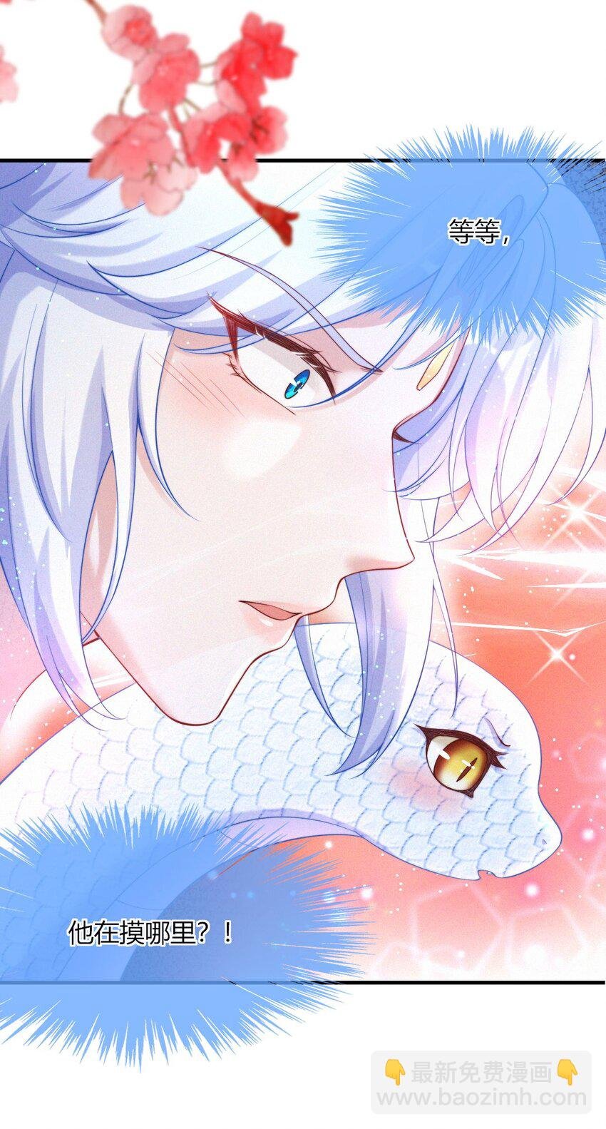 030 团宠