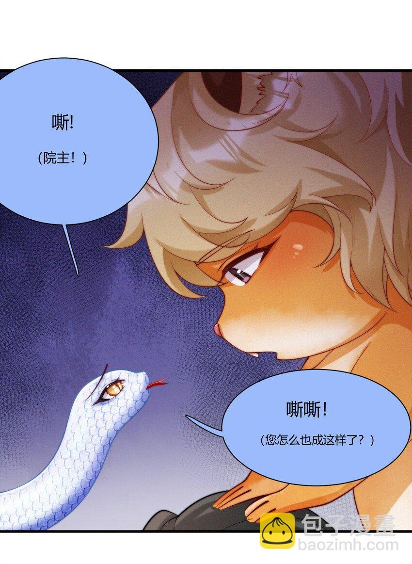 030 团宠