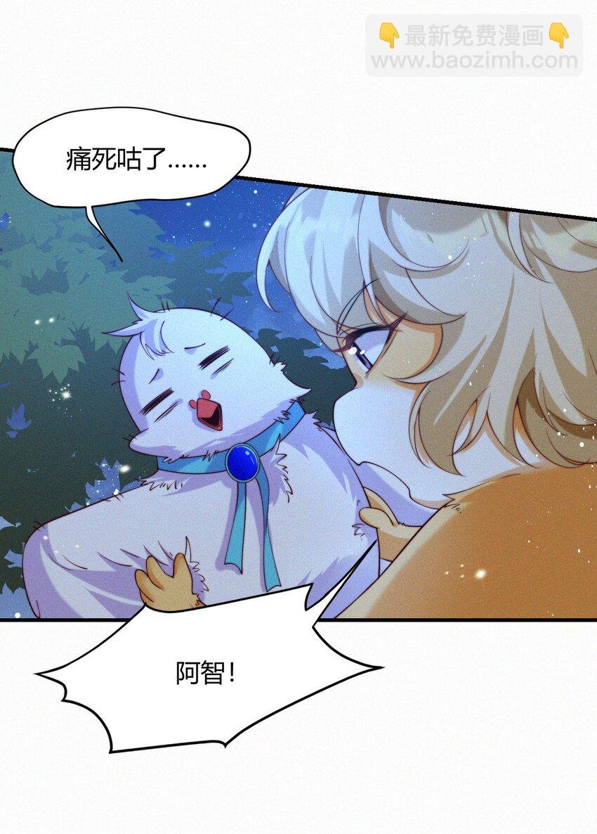 043 碰撞
