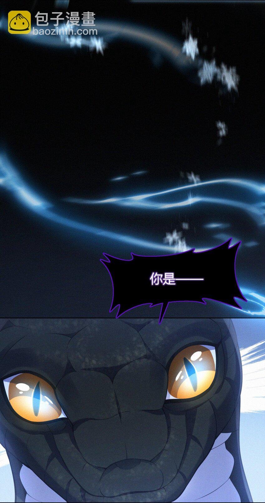068 烁金