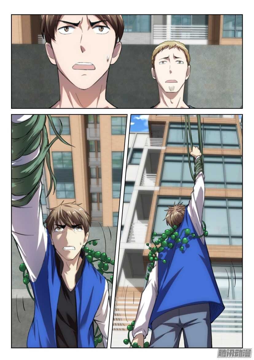 第262回 吊兰们