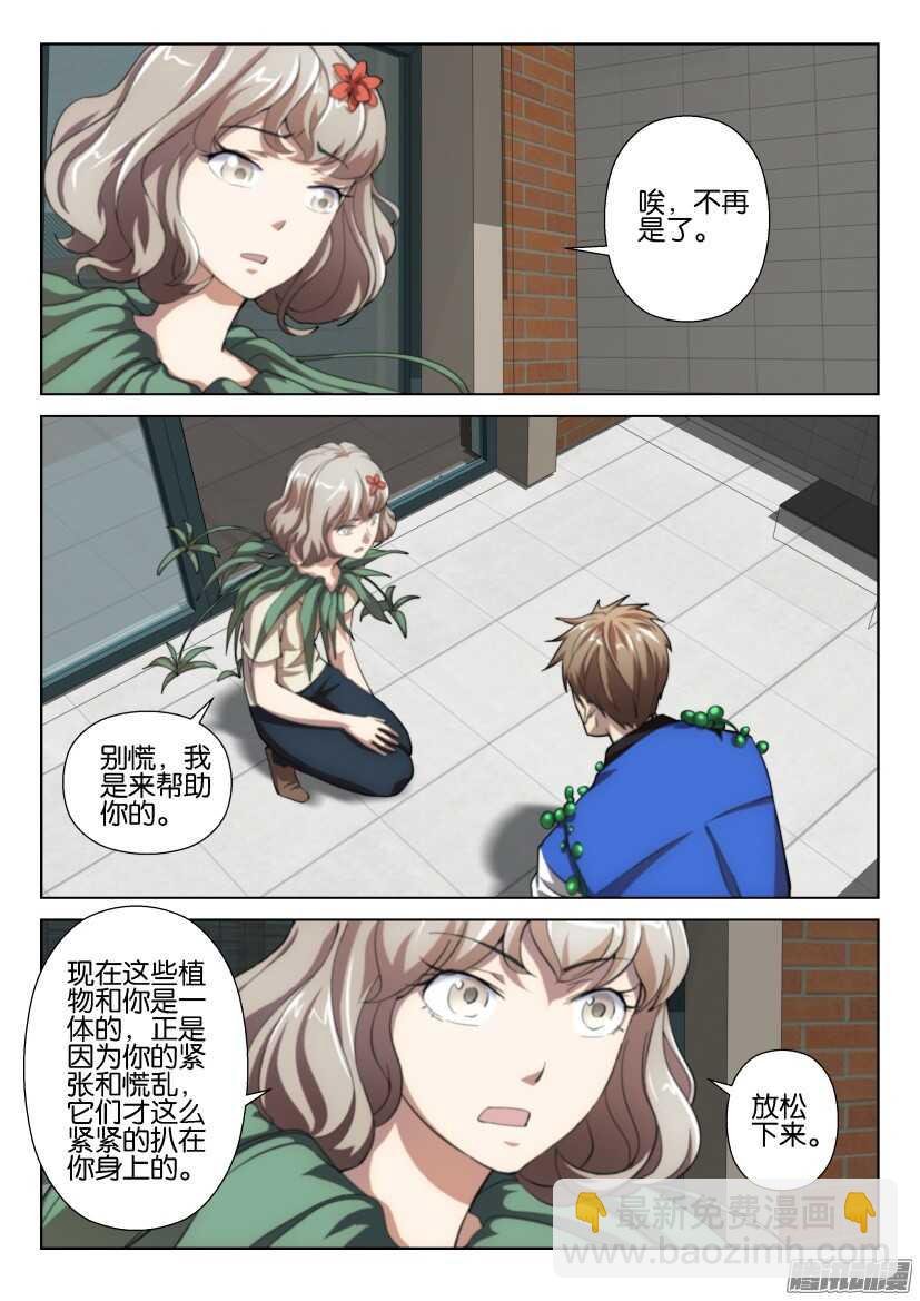 第262回 吊兰们