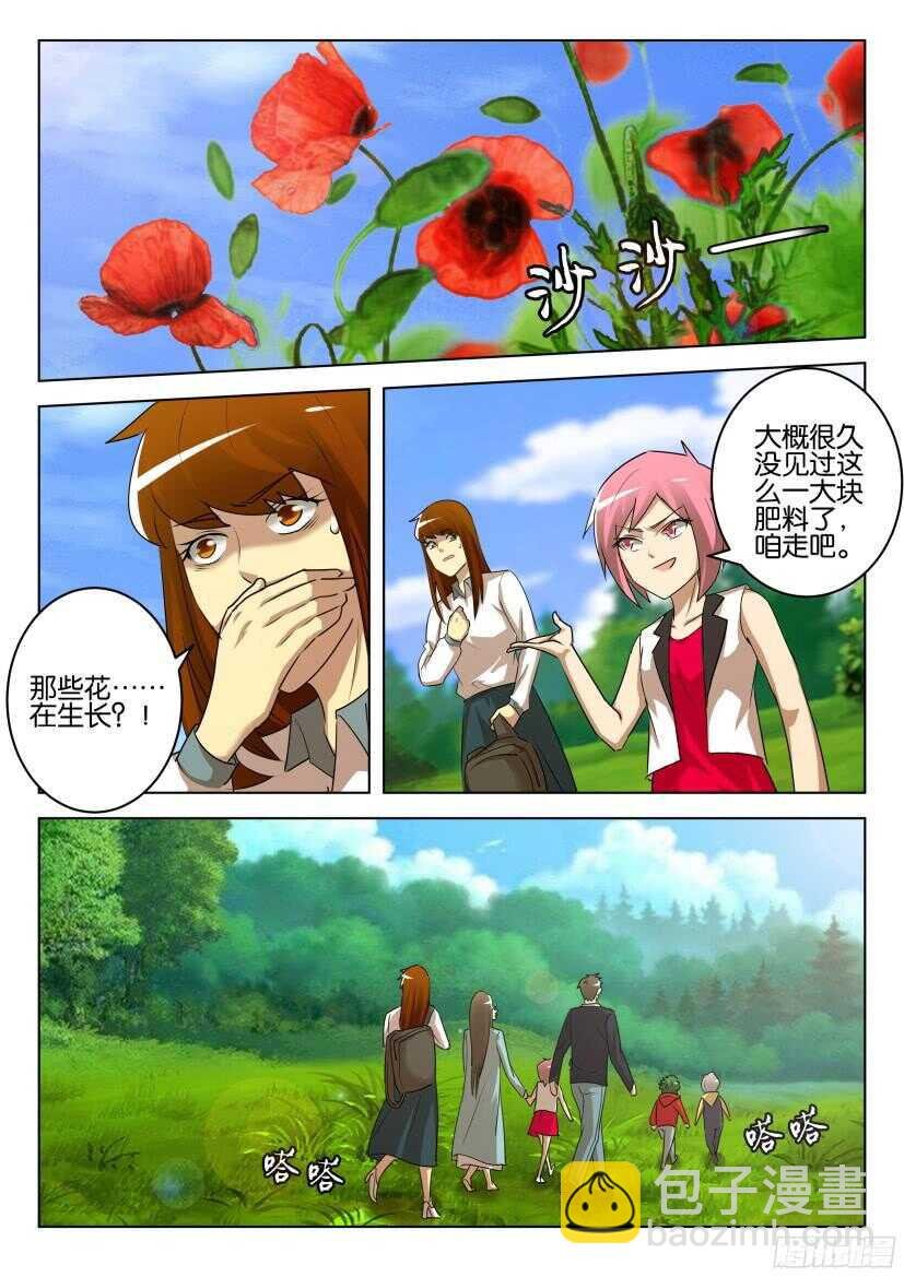 第525回 罂粟花葬