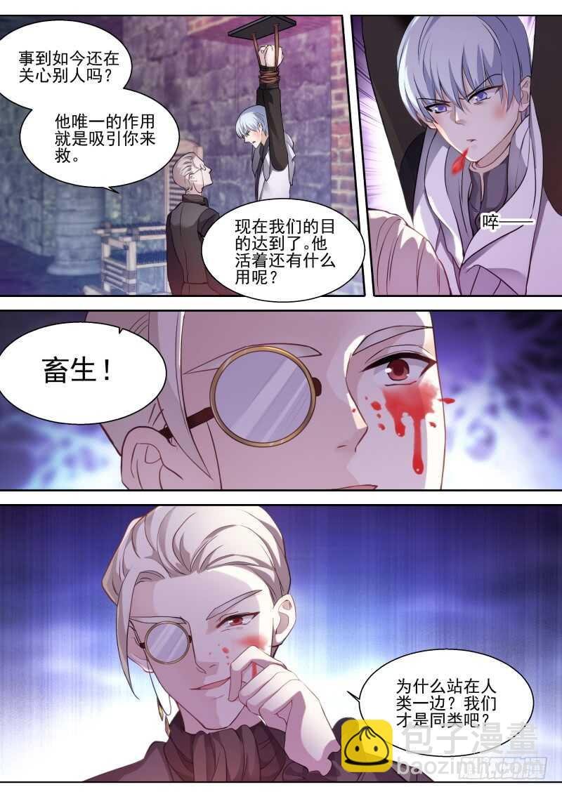龙血之花