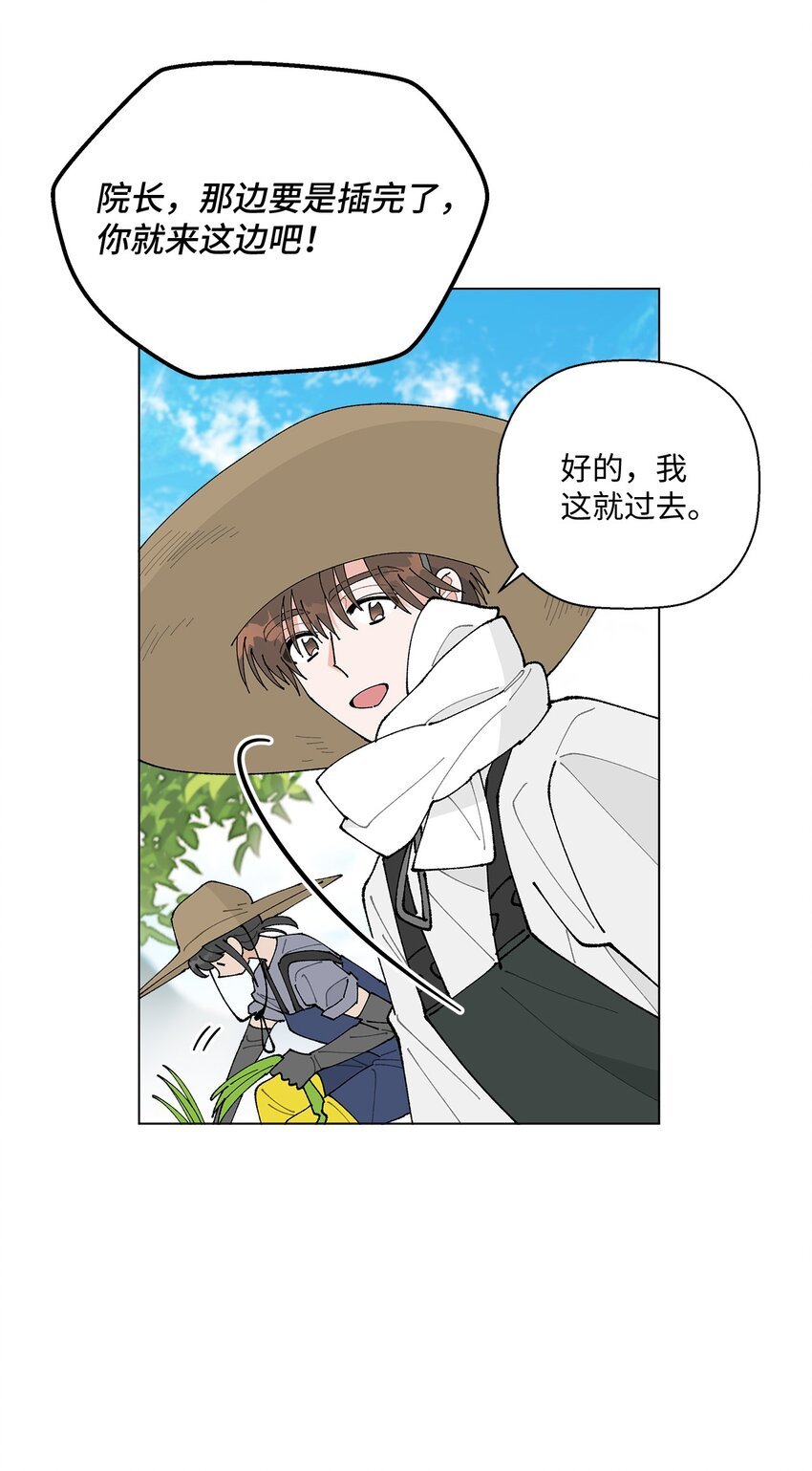 28 插秧