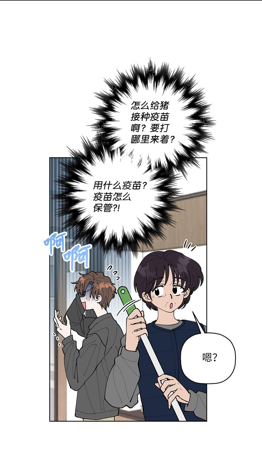 05 怎么给猪打疫苗啊？