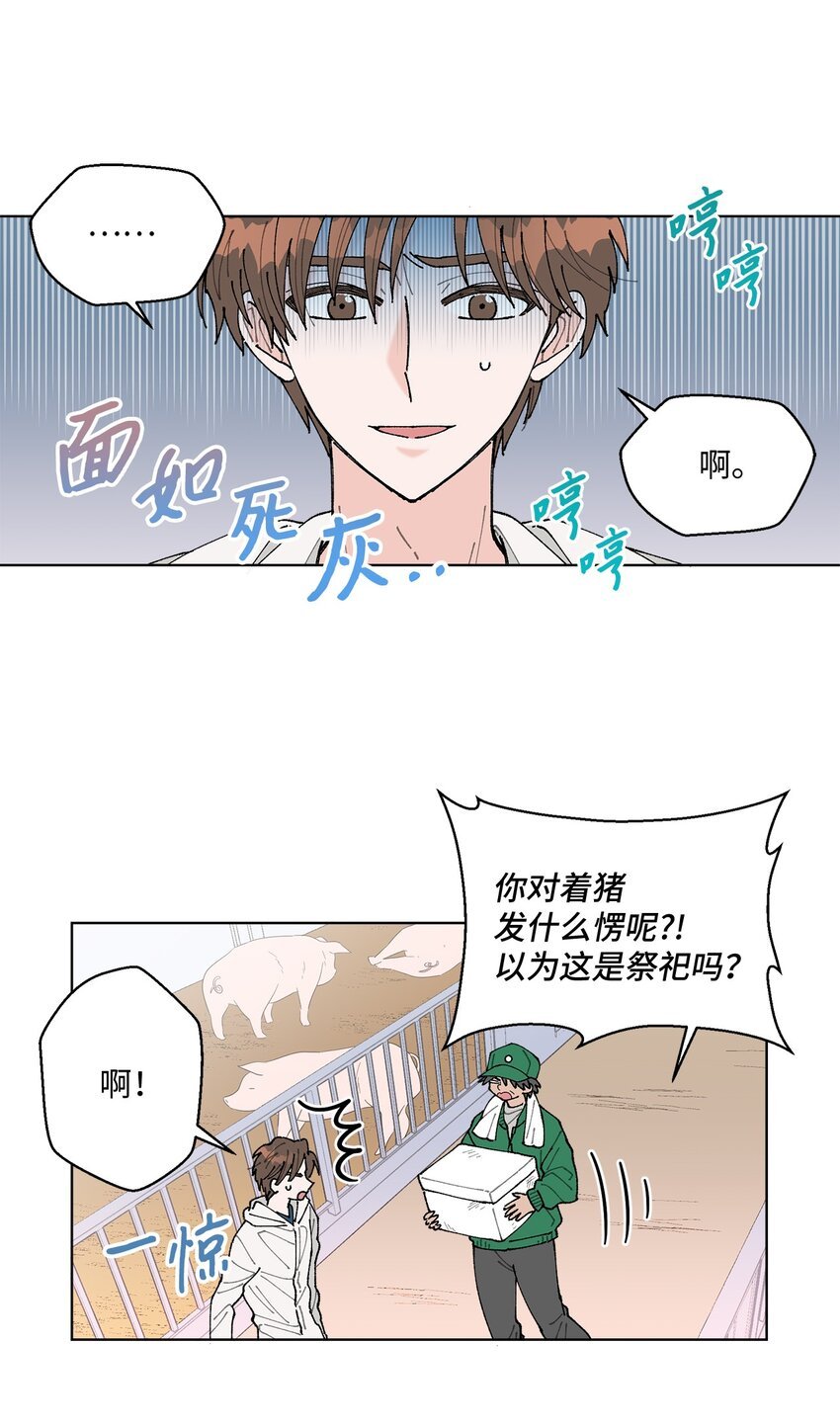 05 怎么给猪打疫苗啊？