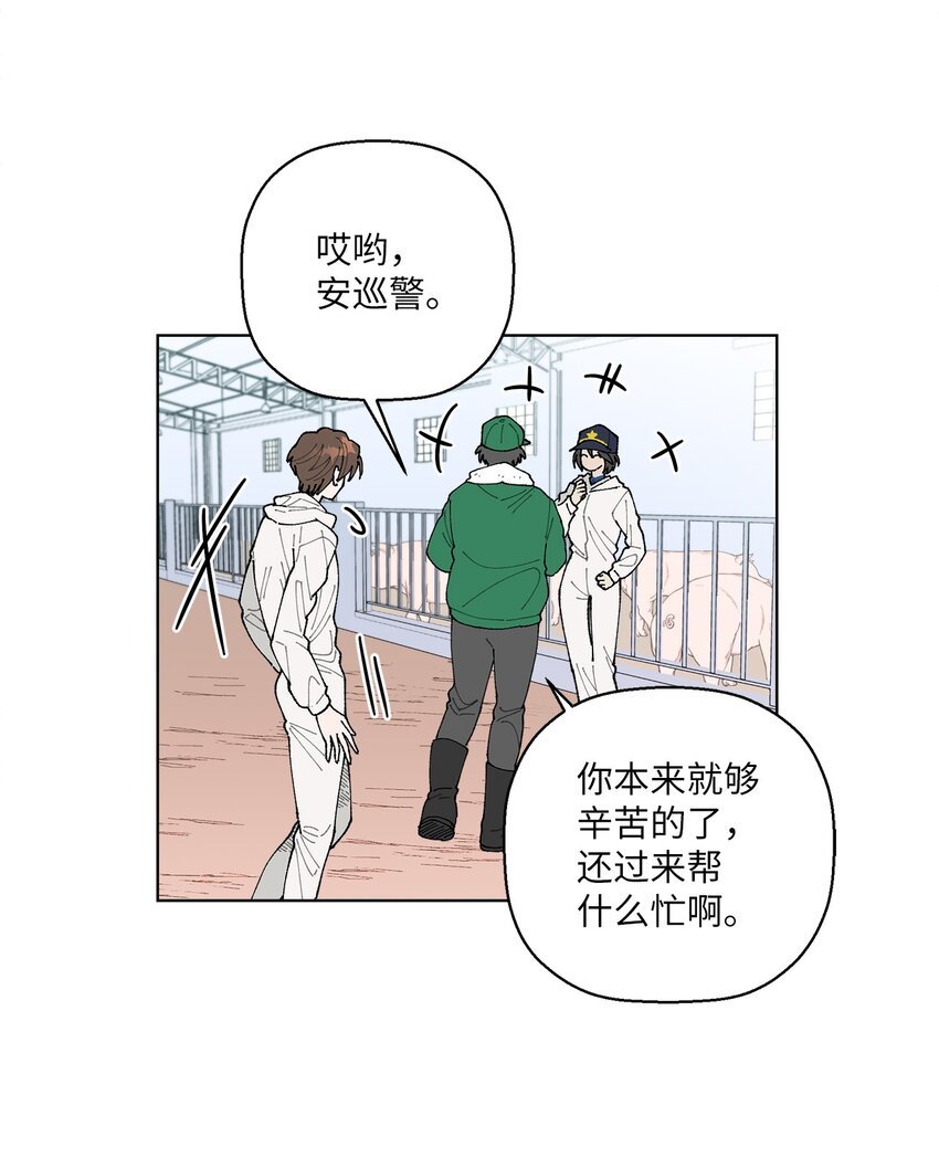05 怎么给猪打疫苗啊？