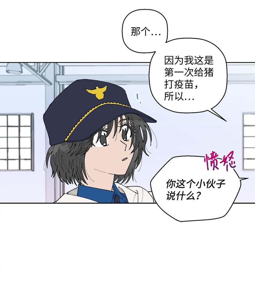 05 怎么给猪打疫苗啊？