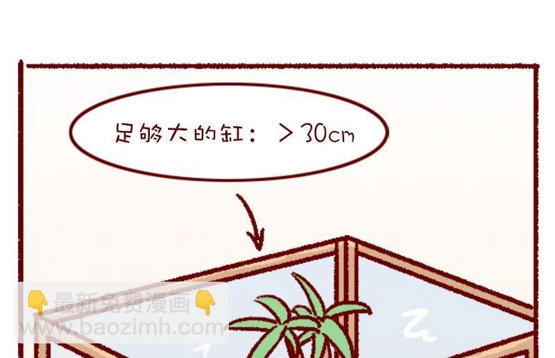 第120话