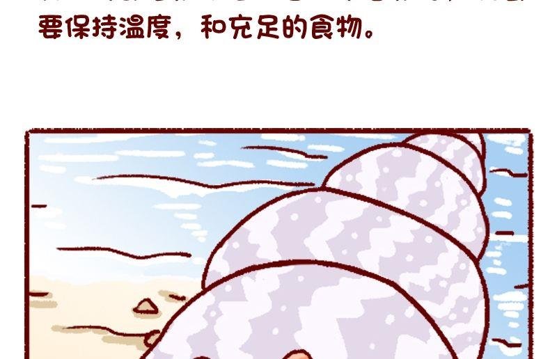 第120话