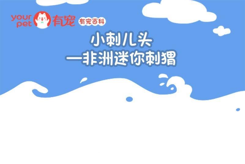 第130话