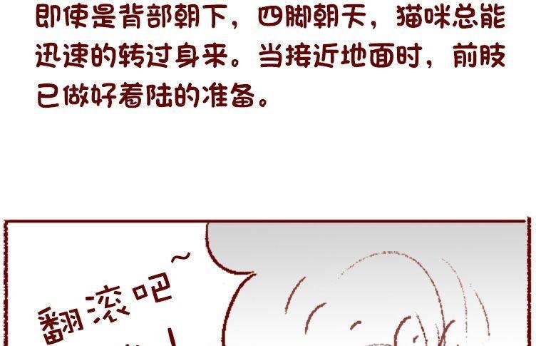 第134话