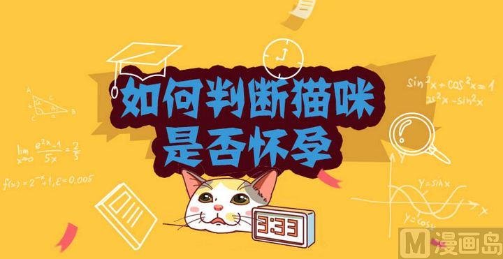 70如何判断猫咪是否怀孕