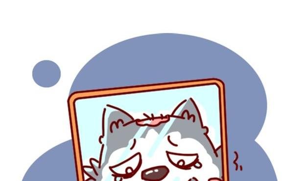 第85话