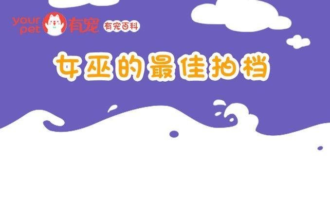第87话