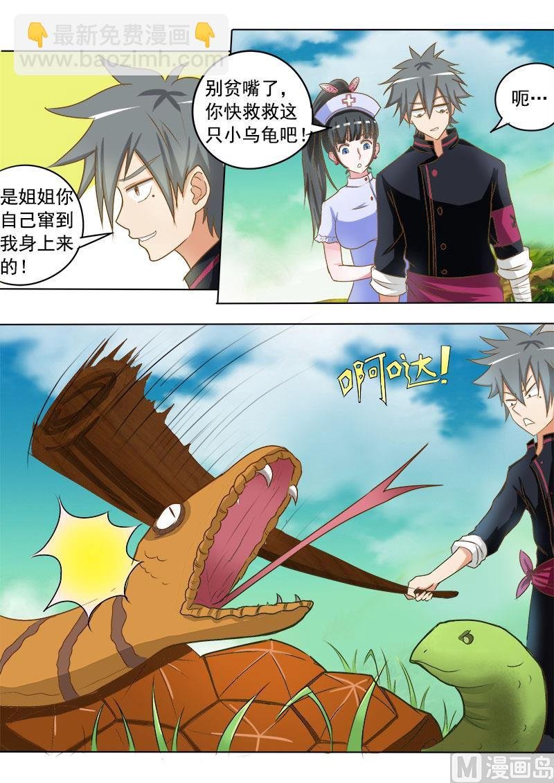 第015话 金钱龟