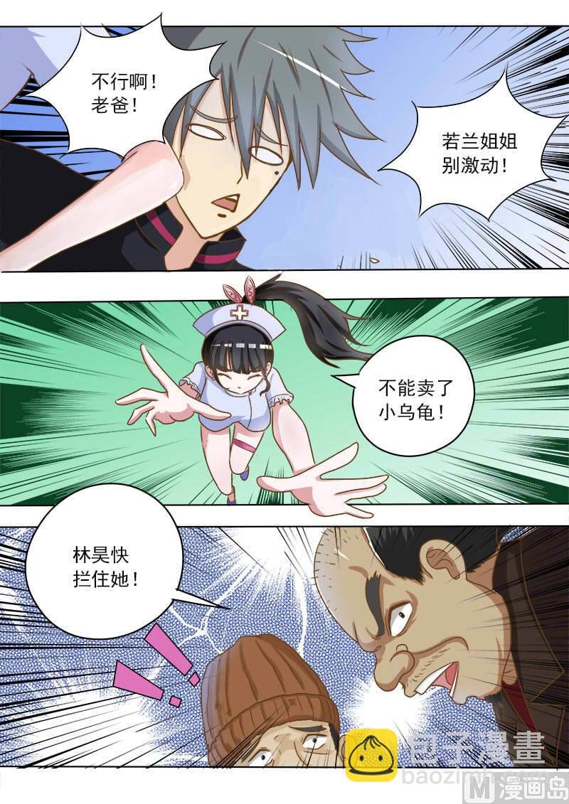 第016话 破龟这么值钱