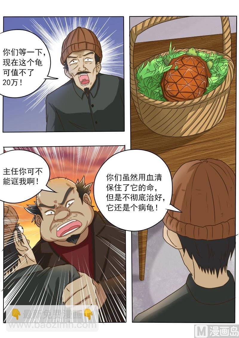 第016话 破龟这么值钱