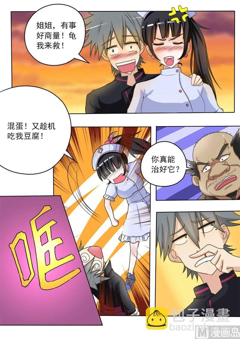 第016话 破龟这么值钱