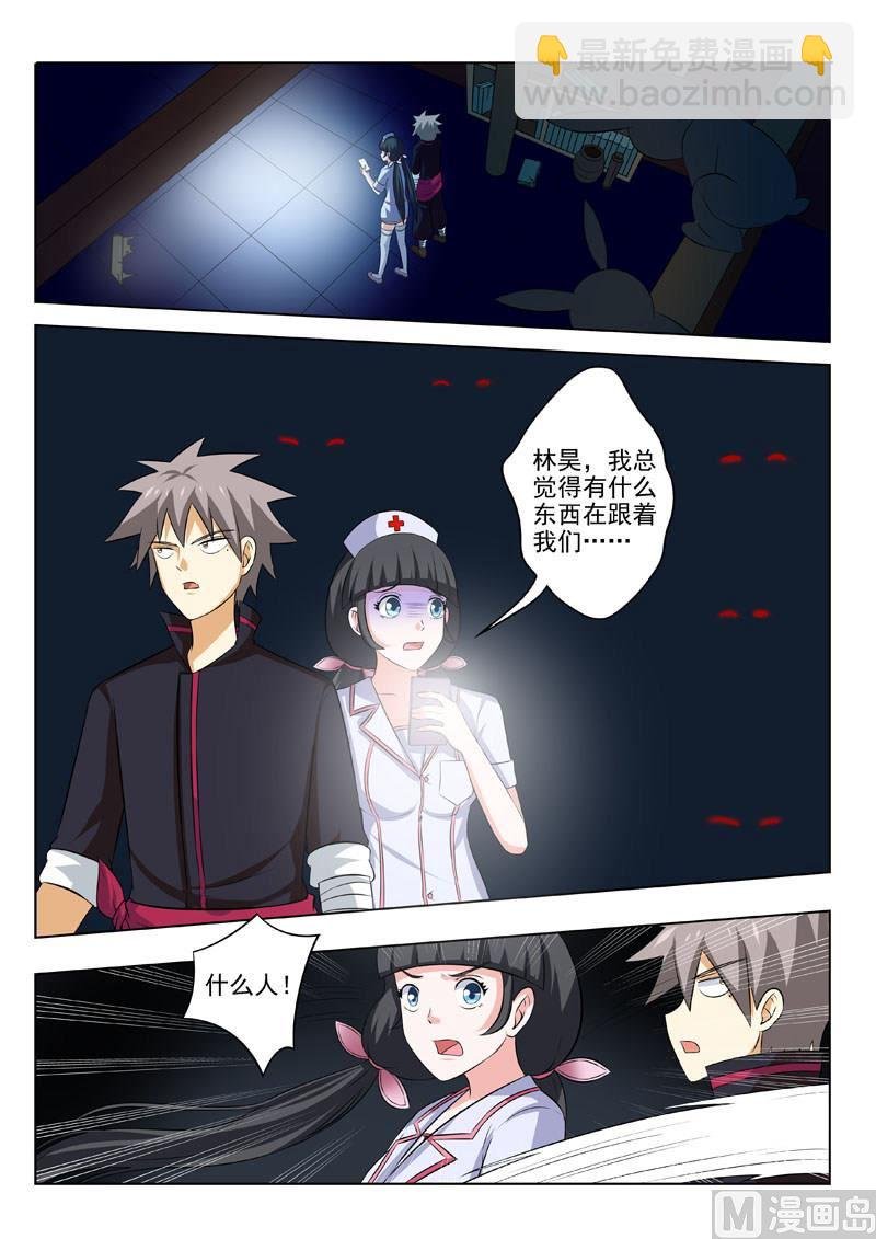 第186回 兔子