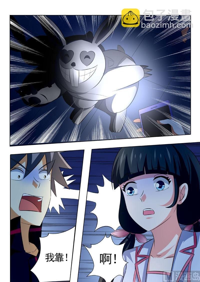 第186回 兔子