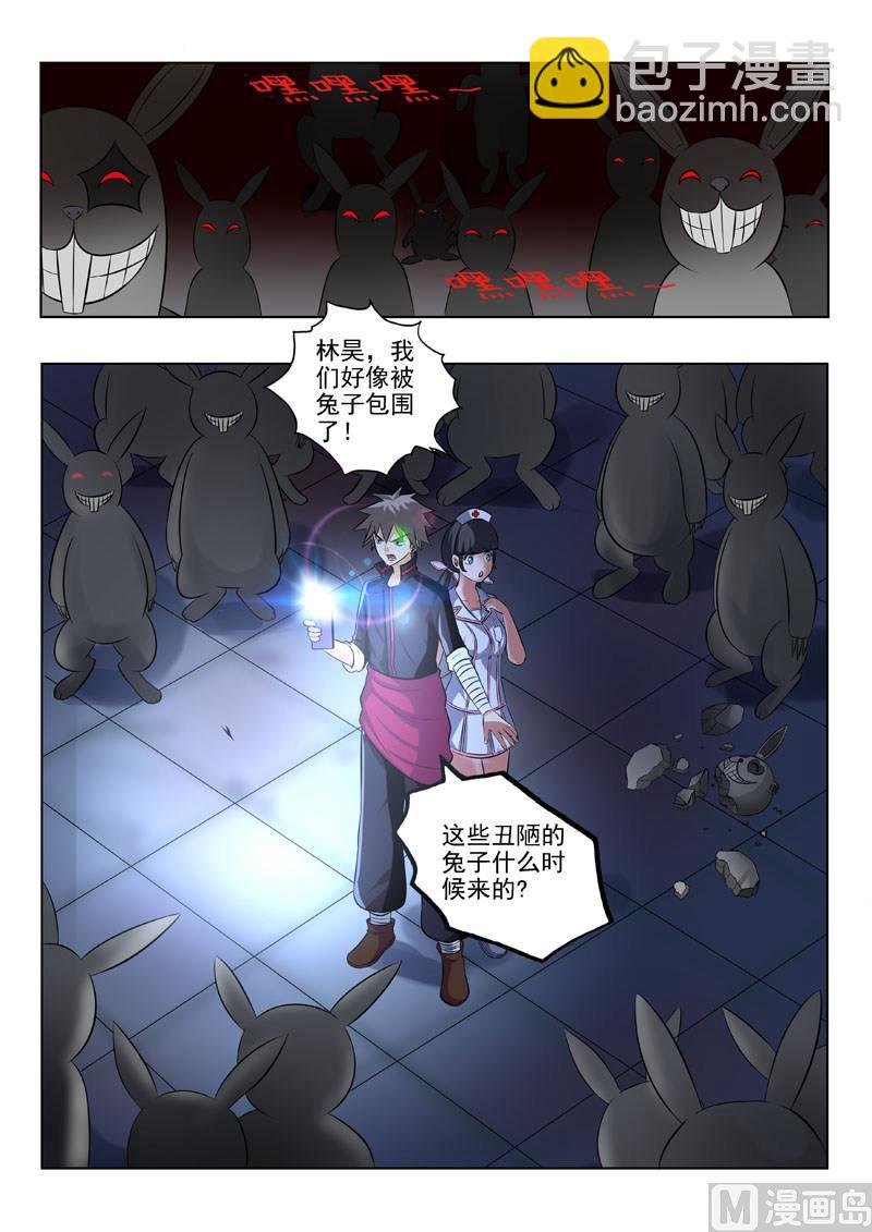 第186回 兔子