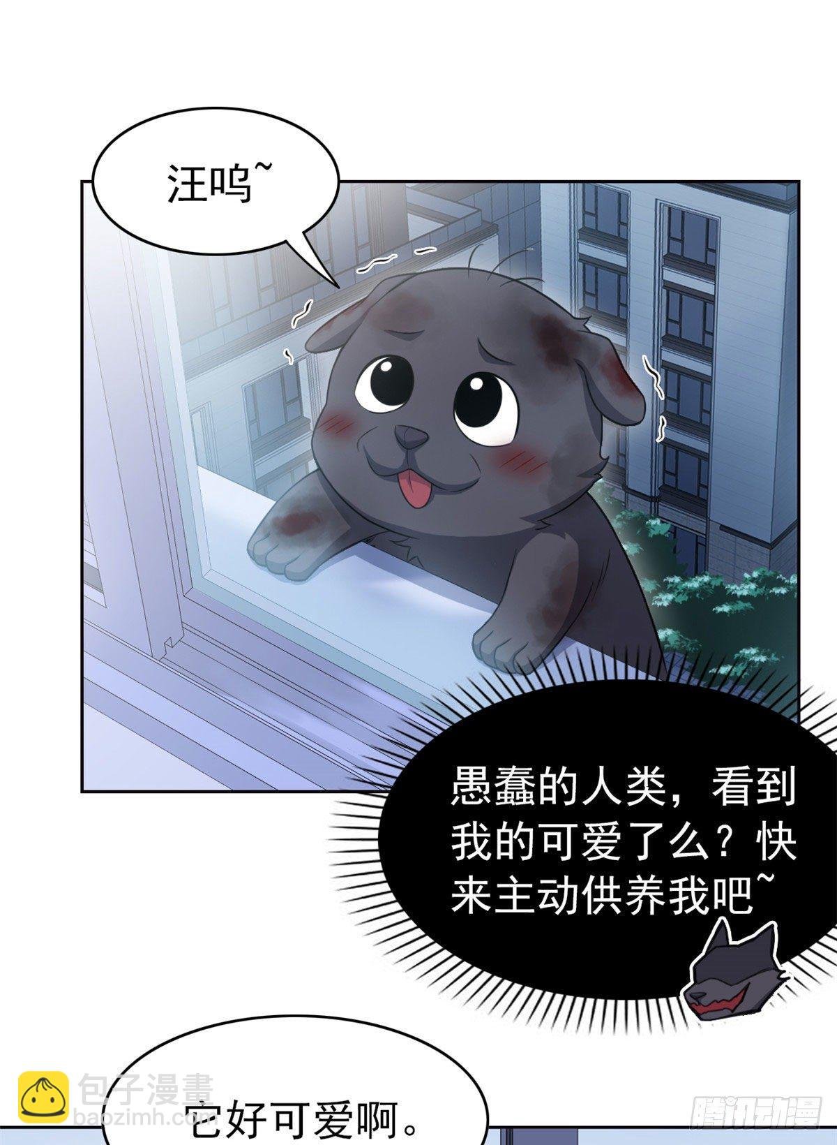 21 可爱=好吃