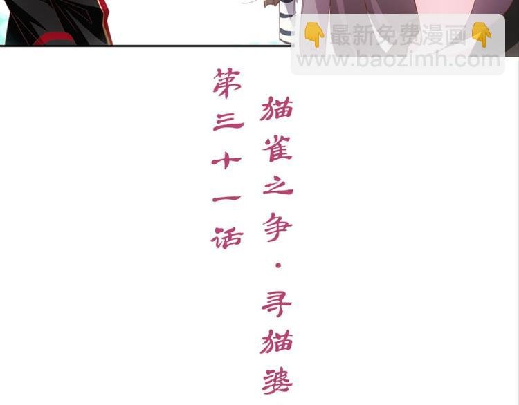第31话：猫雀之争——寻猫婆婆