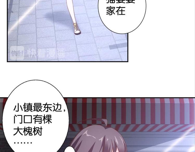 第31话：猫雀之争——寻猫婆婆