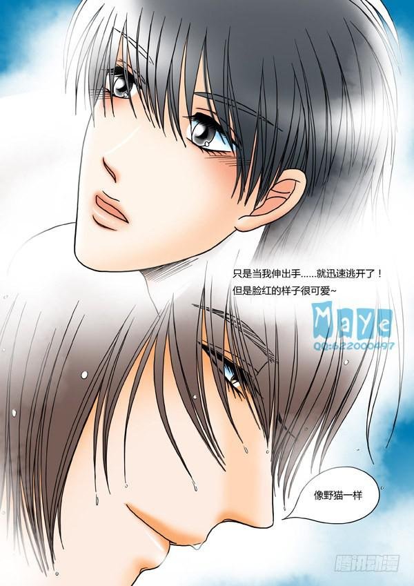 第16话：爱的温度（8）