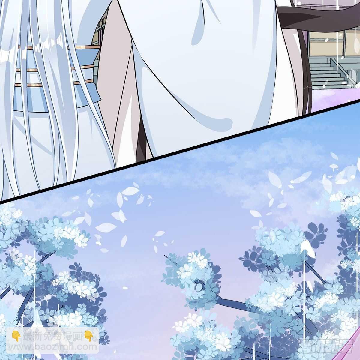 029 小白回来了