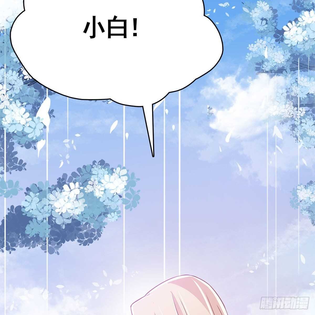 029 小白回来了