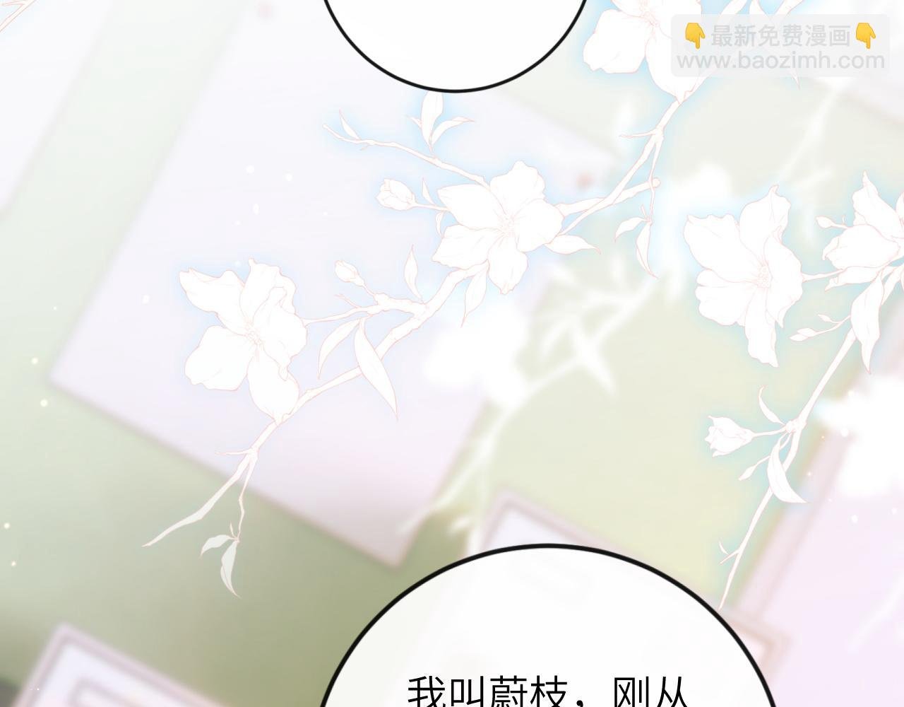 第3话 毛绒控请求rua毛毛！
