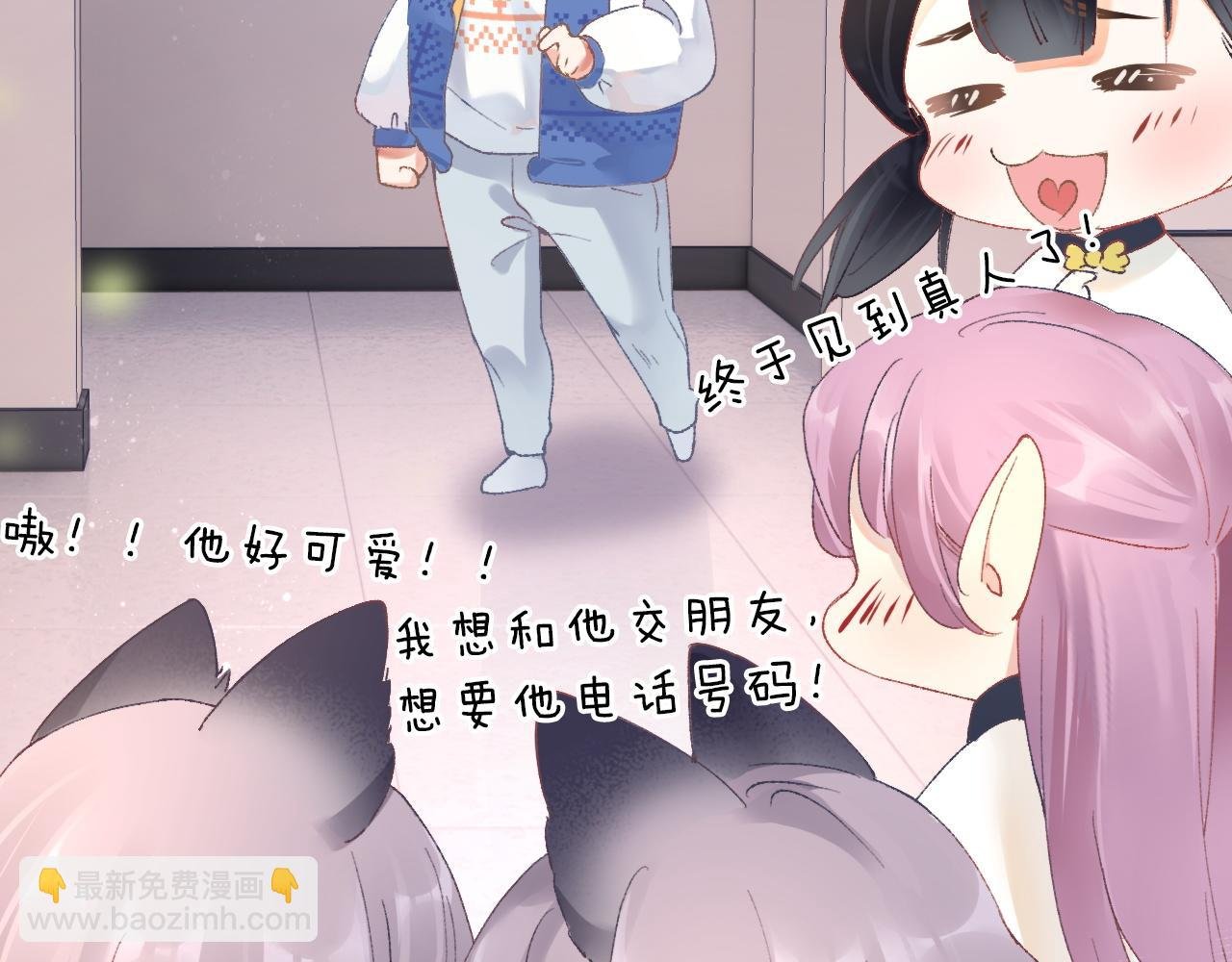 第3话 毛绒控请求rua毛毛！