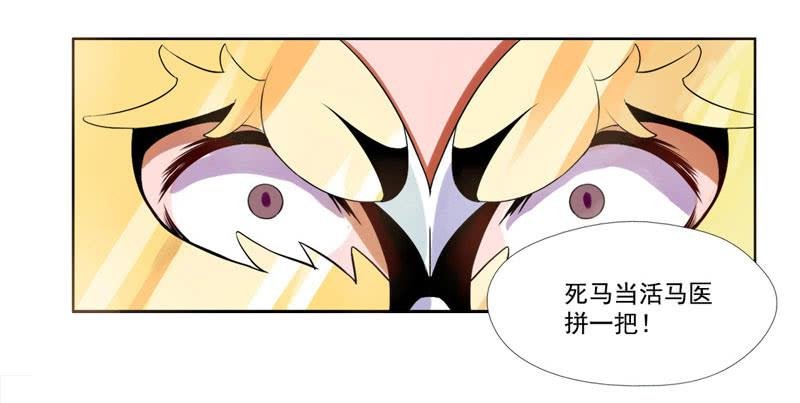第5话：最重要的东西 下