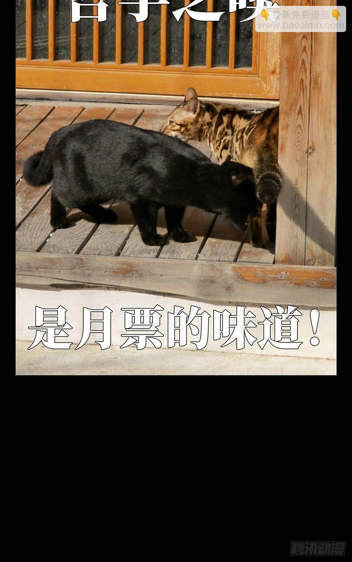 第一百一十七章\/灵域中