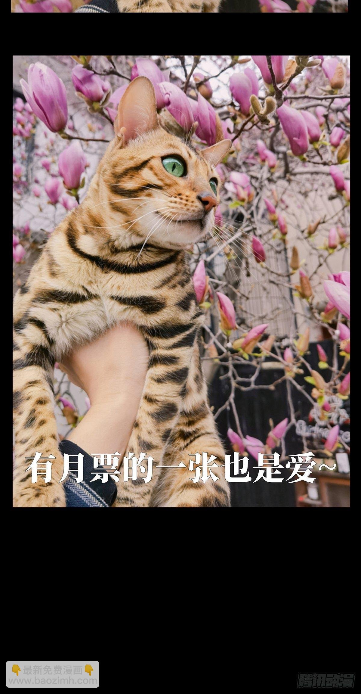 第一百二十七章\/情感下