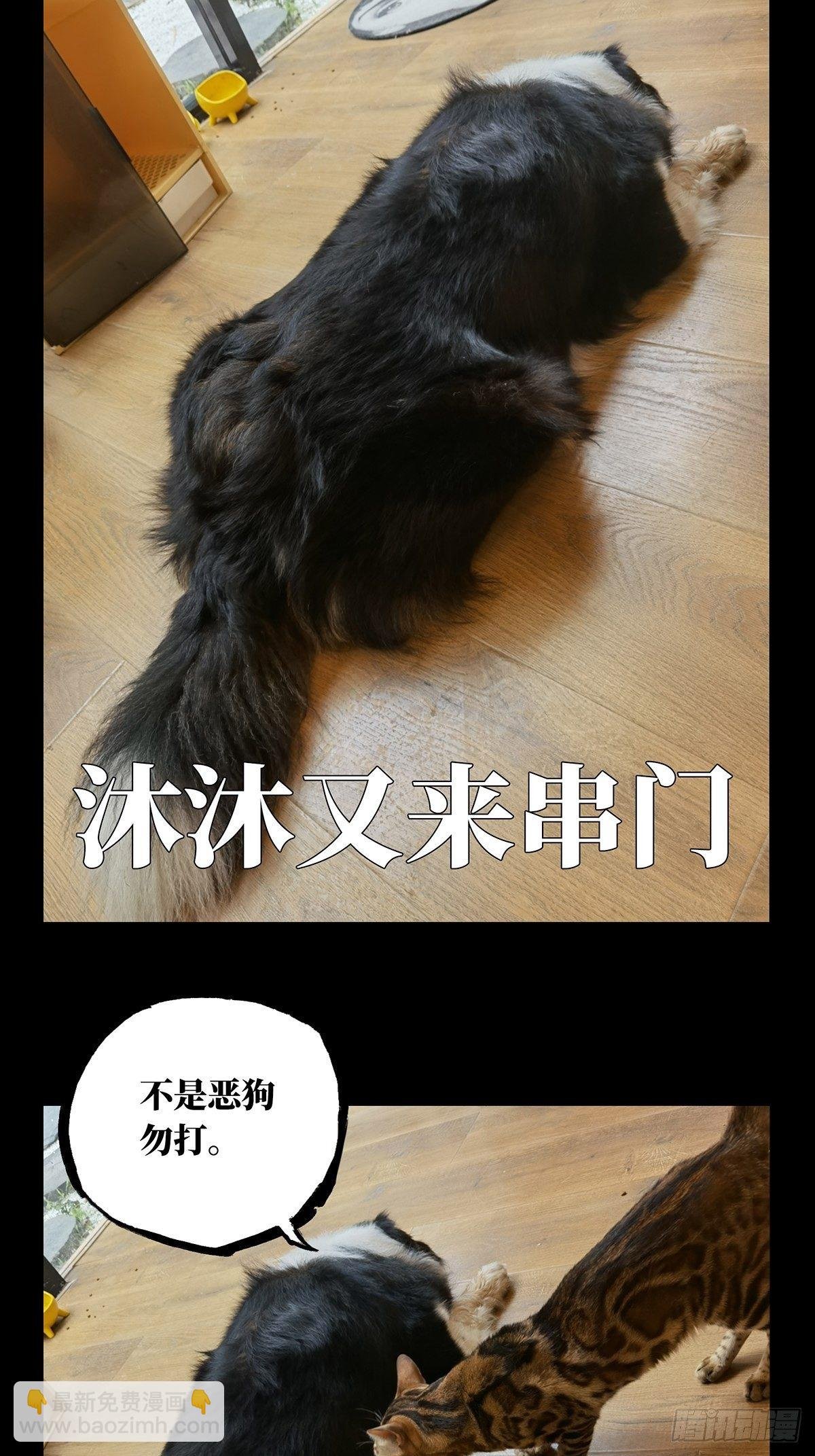 第一百四十八章\/能力下