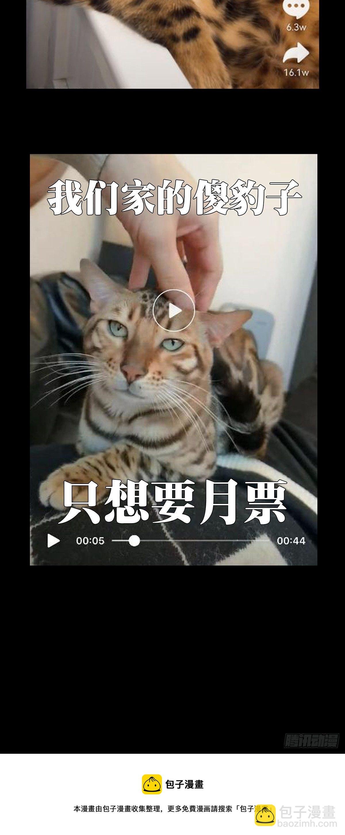 第一百六十一章\/会议上
