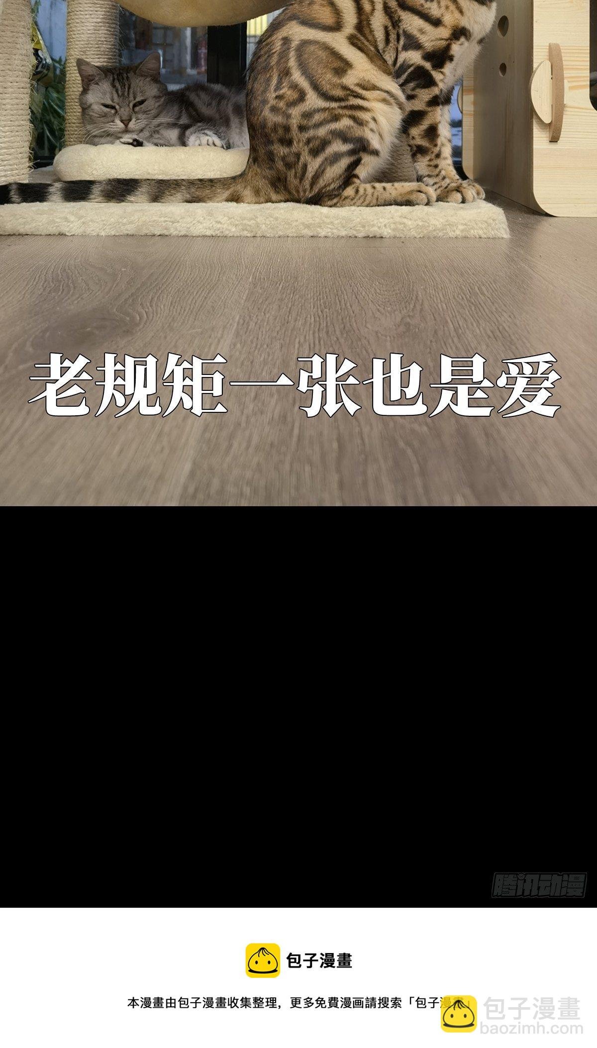 第一百六十三章\/会议下
