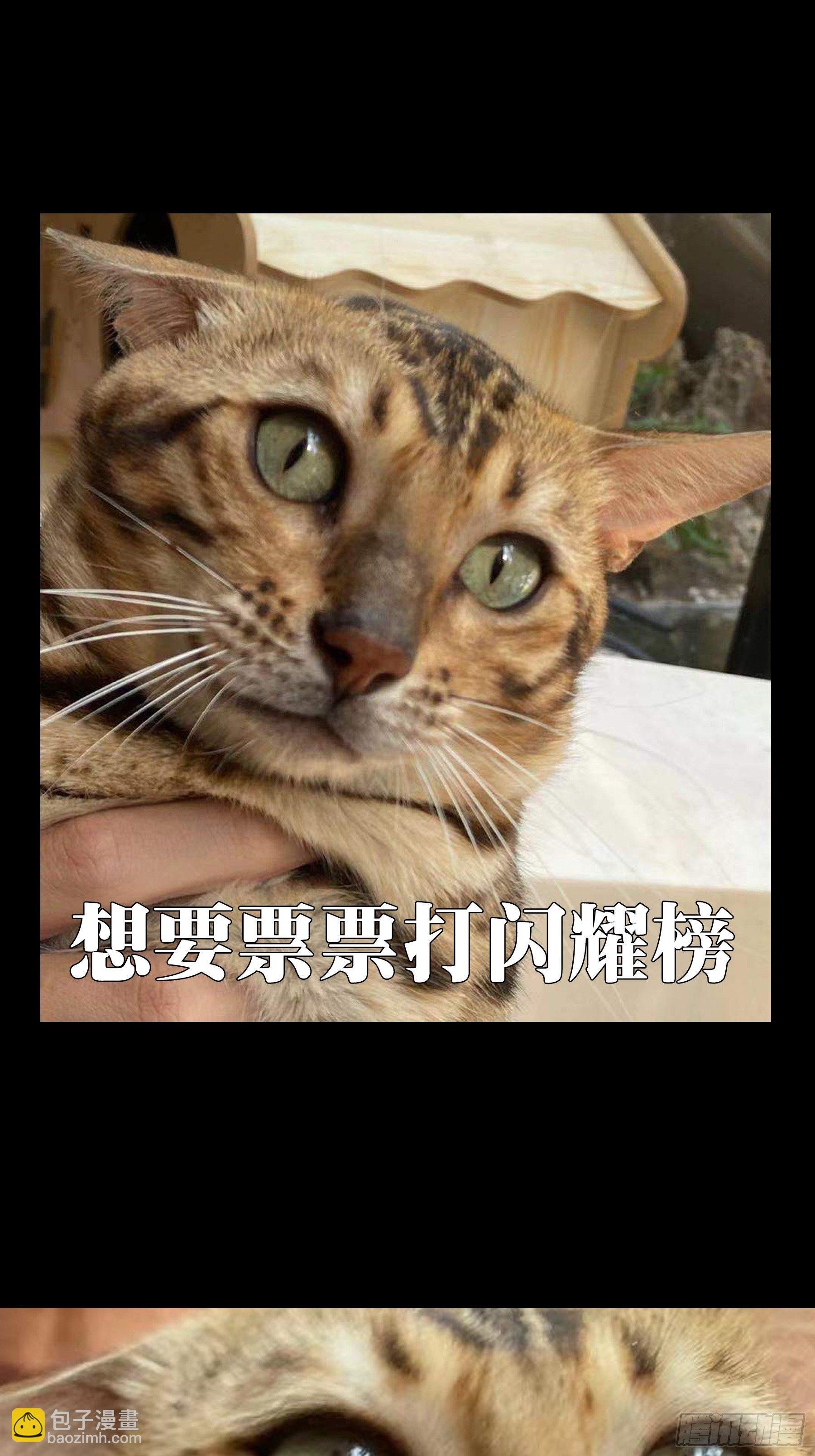 第一百九十三章\/活路下